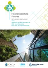 Financing climate futures Synthesis and key messages